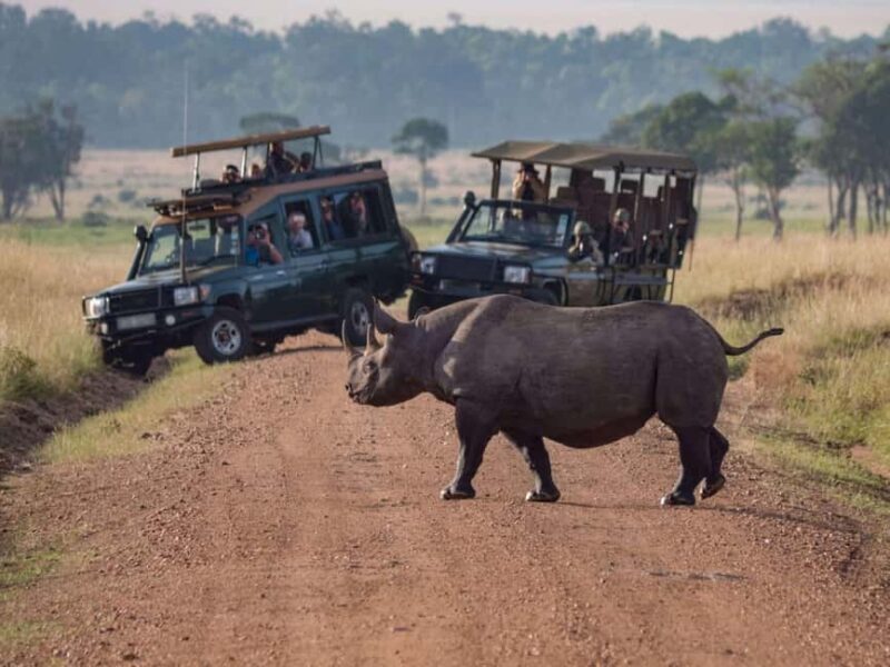 Private 7 Days Samburu Ol pejeta L. Nakuru L. Naivasha Masai - Discovering Kenya’s Top Safari Spots in 7 Days