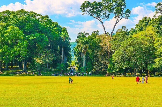 Private 7 Days Sri Lanka Trip with Historical Wonders - A Deep Dive into the 7-Day Sri Lanka Experience