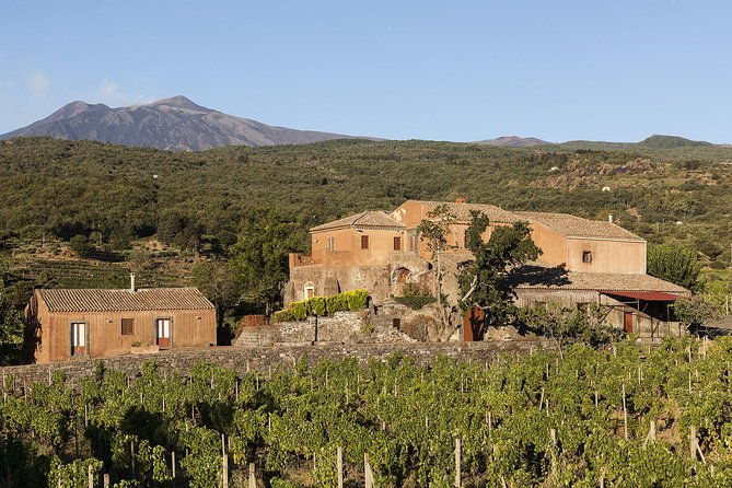 private-7-hour-tour-of-three-etna-wineries-with-tasting-from-syracuse