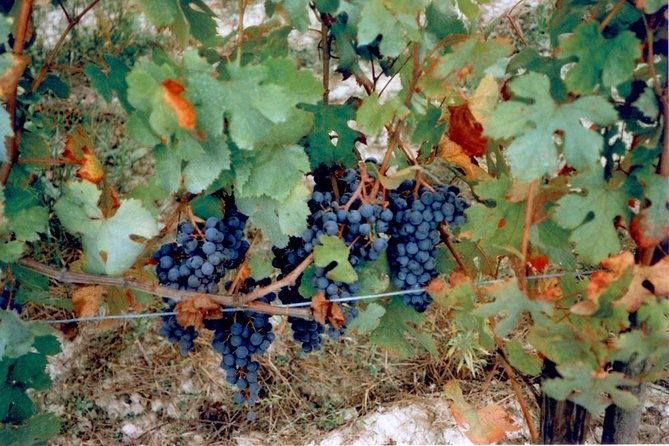 private-7-hour-tour-of-three-etna-wineries-with-tasting-from-syracuse