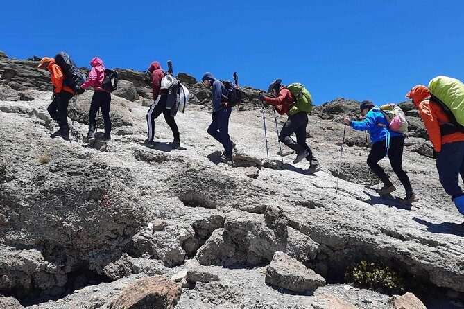 Private 8-Day Kilimanjaro Trek on Lemosho Route from Moshi - Key Points