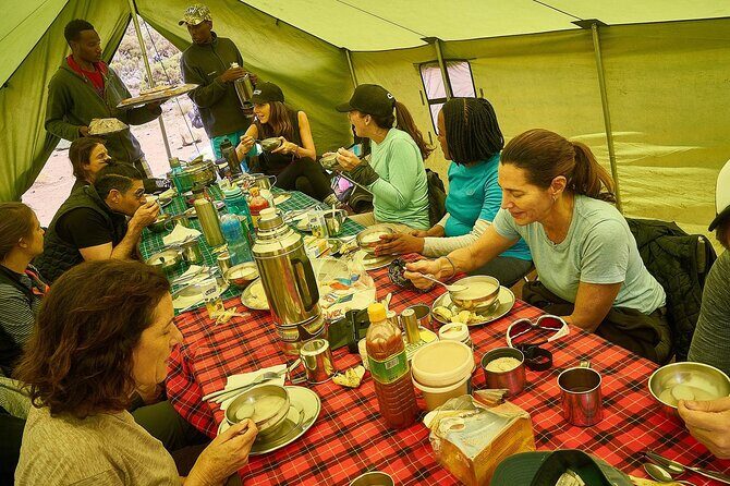 Private 8-Day Kilimanjaro Trek on Lemosho Route from Moshi - Why the Lemosho Route? A Scenic Path to the Summit