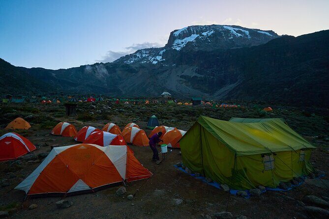 Private 8-Day Kilimanjaro Trek on Lemosho Route from Moshi - Value for Price: Is It Worth It?