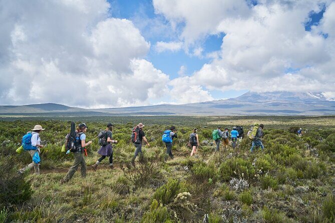 Private 8-Day Kilimanjaro Trek on Lemosho Route from Moshi - Final Thoughts