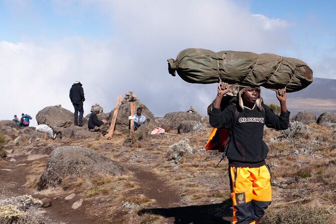 Private 8 day Northern Circuit Kilimanjaro Climb - What Makes This Tour Stand Out?