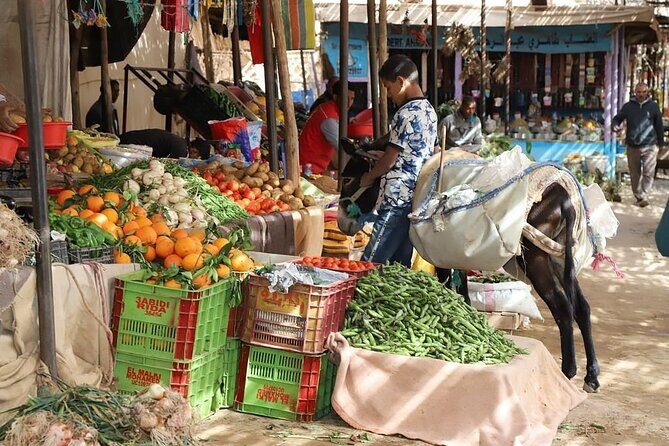 Private 8 Days Morocco Tour From Marrakech with Sahara Desert - A Closer Look at the Itinerary  