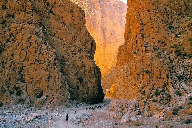 Private 8 Days Morocco Tour From Marrakech with Sahara Desert - The Sum Up: Who Is This Tour Perfect For?  