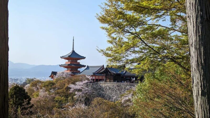 private-8-hour-tour-around-kyoto-with-spanish-guide