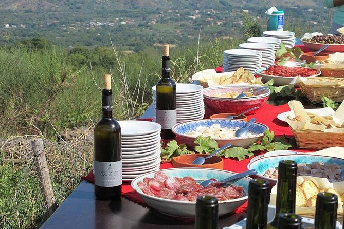 private-8-hour-tour-of-four-etna-wineries-with-tasting