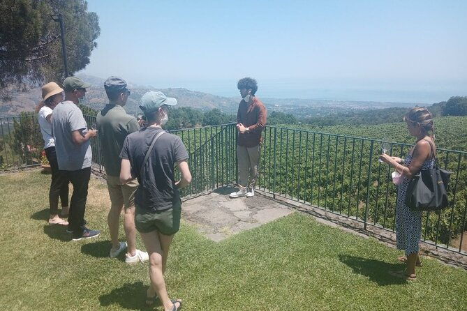 private-8-hour-tour-of-four-etna-wineries-with-tasting