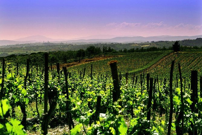 private-8h-tour-to-winery-in-franciacorta-and-bergamo-from-milan