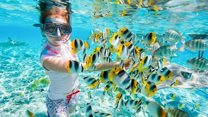 Private 9-Day Egypt Family Holiday - Fun & Discovery - Frequently Asked Questions (FAQs)