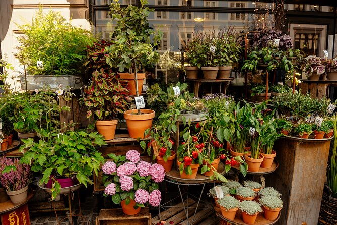 private-90-minute-walking-tour-in-stockholm