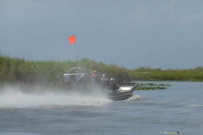 private-90-minutes-everglades-airboat-adventure