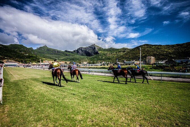 Private A/C CAR Guided FULL DAY tour North of Mauritius - Transportation & Guide Experience