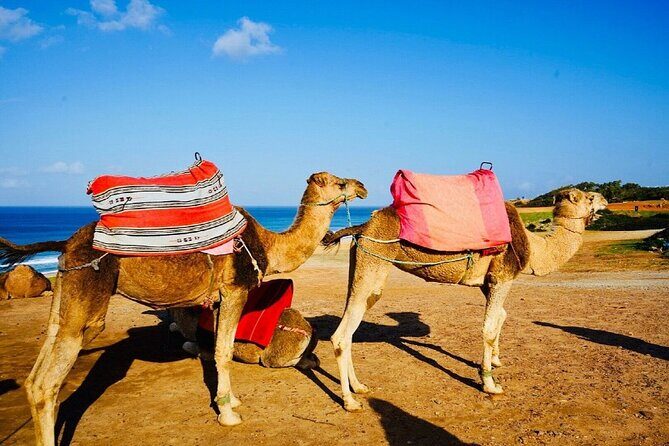 Private Above and Beyond Tour in Tangier - FAQ
