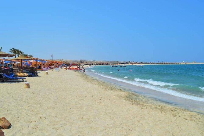 Private Abu Dabbab Over Day Snorkeling with Turtles - Hurghada - Key Points