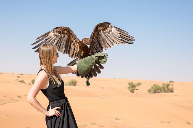 Private Abu Dhabi Evening Desert Safari (Exclusive) - What to Expect from the Tour: An In-Depth Breakdown