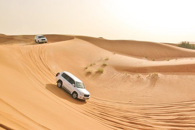 Private Abu Dhabi Evening Desert Safari (Exclusive) - Final Words: The Bottom Line