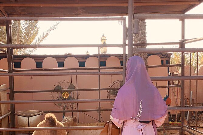 Private - Abu Dhabi Half Day City Tour - Final Thoughts