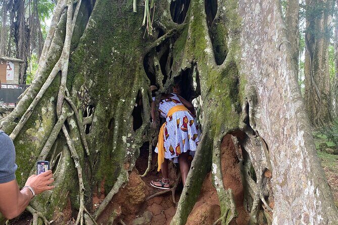Private Aburi Hill Guided Tour - An In-Depth Look at the Aburi Experience