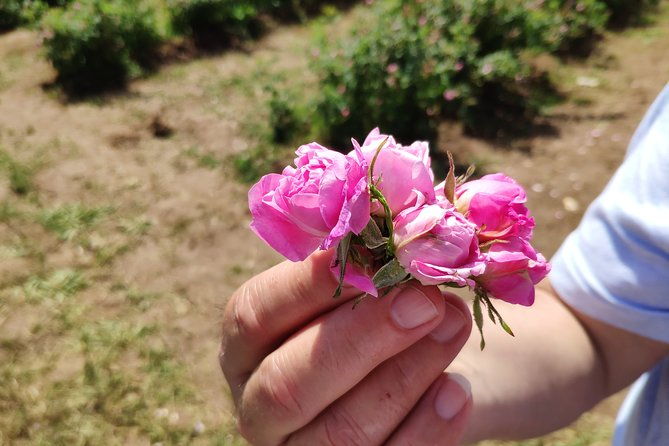 private-access-rose-festival-kazanlak-06-08-06-2025