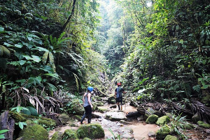 private-active-4-day-amazon-adventure