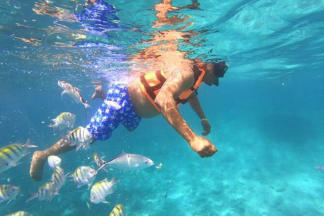 private-activity-speedboat-ride-and-snorkeling-in-punta-cana