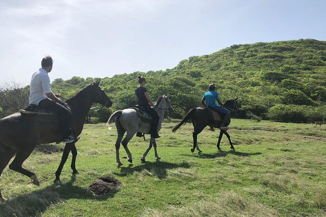private-advanced-horseback-beach-ride-with-sandy-hoofs-st-lucia