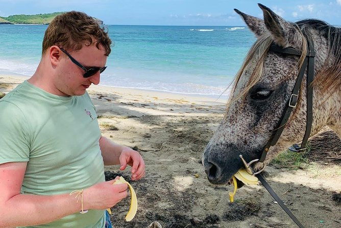 private-advanced-horseback-beach-ride-with-sandy-hoofs-st-lucia
