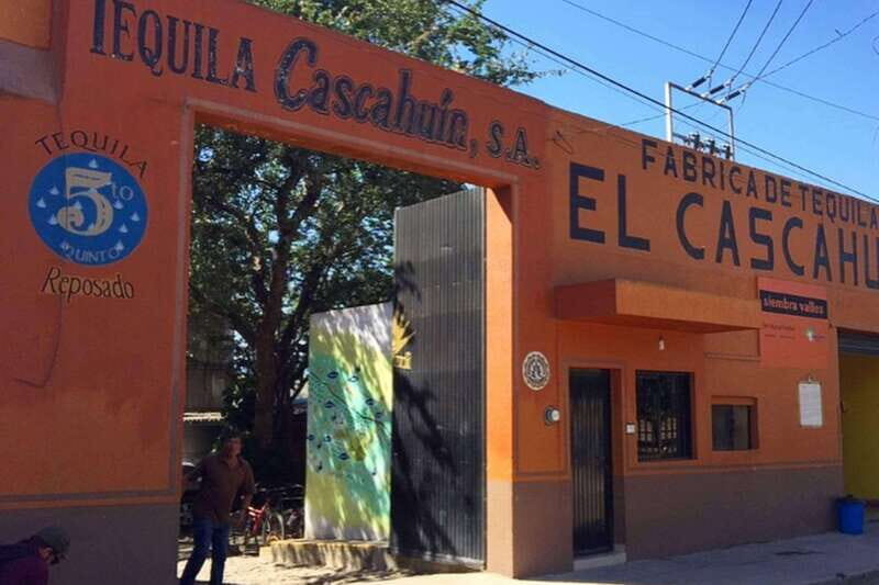 Private Adventure to Tequila and el Cascahuin Distillery - Is This Tour Worth the Price?