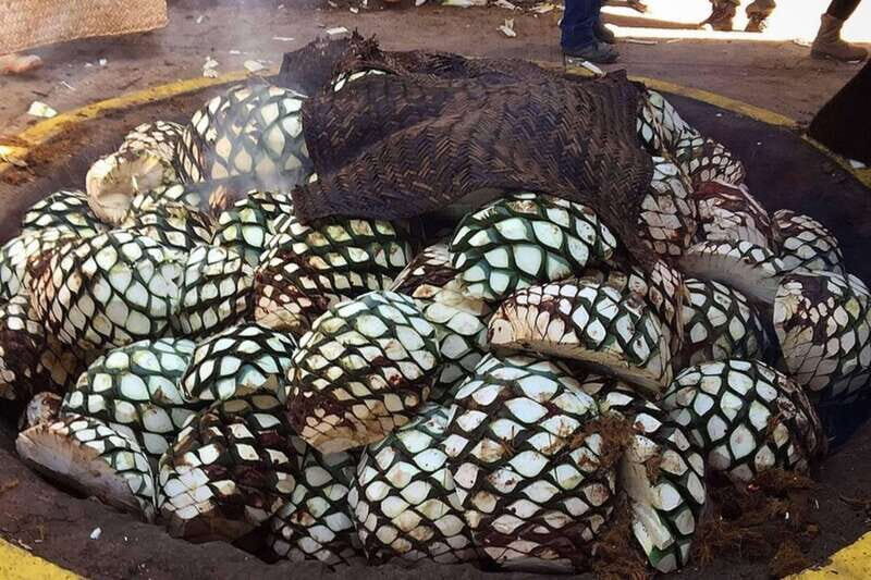 Private Adventure to Tequila and el Cascahuin Distillery - The Sum Up