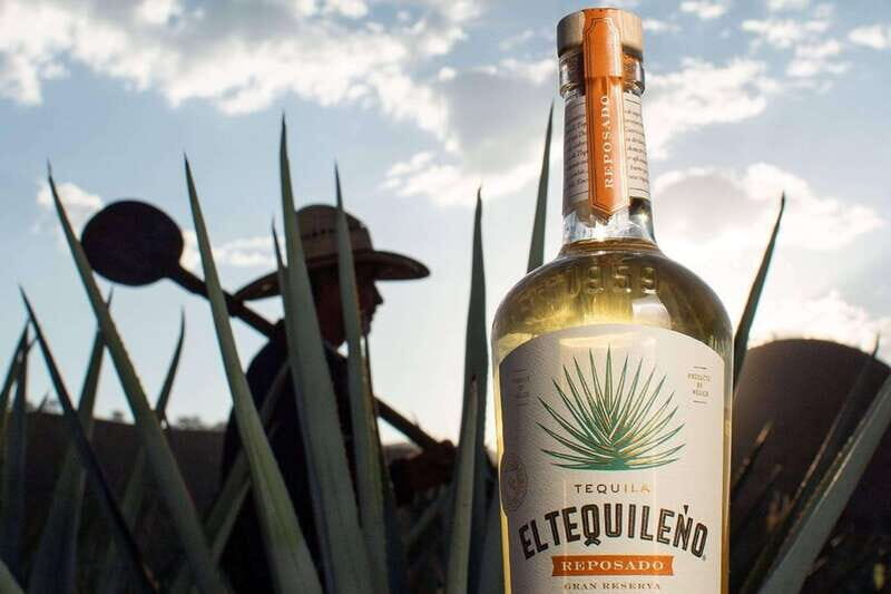 Private Adventure to Tequila and Tequila El Tequileño - Practicalities and Tips
