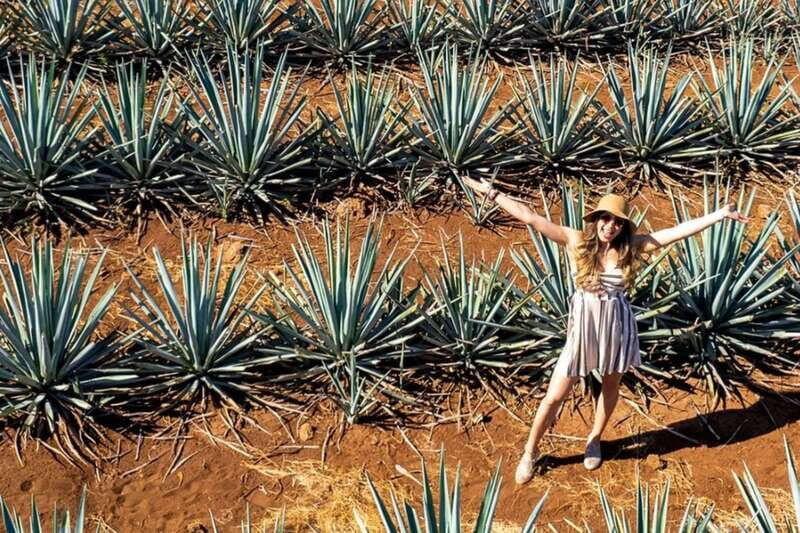 Private Adventure to Tequila and Tequila El Tequileño - Who Should Consider This Tour?
