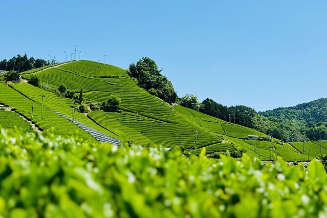 Private adventures into the hidden gems of greater Kyoto - An overview of what you can expect