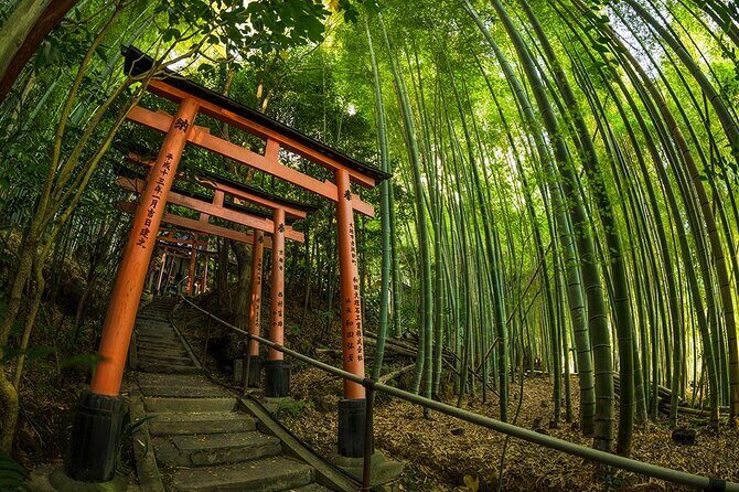 Private adventures into the hidden gems of greater Kyoto - Practical considerations
