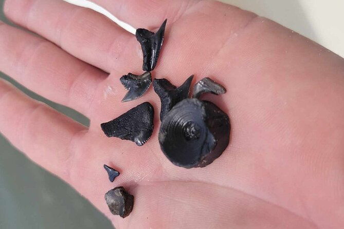 private-afternoon-boat-ride-and-beach-excursion-on-southern-charm