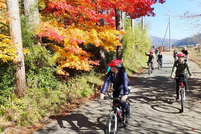 private-afternoon-cycling-tour-in-hida-furukawa