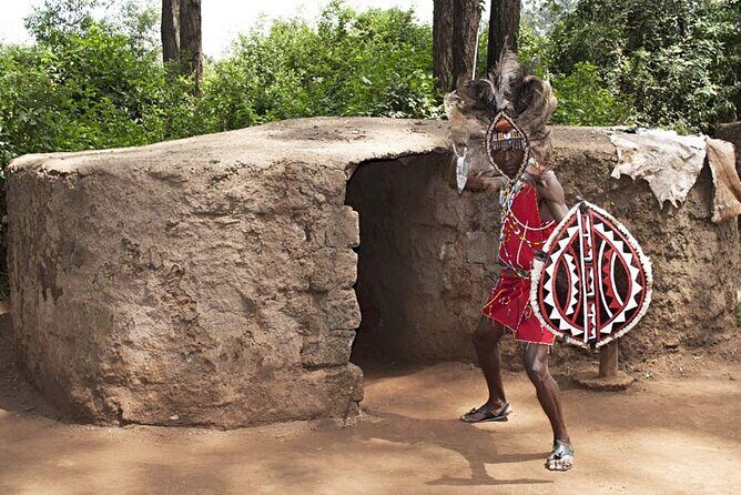 Private Afternoon Tour to Bomas of Kenya - Who Should Consider This Tour?