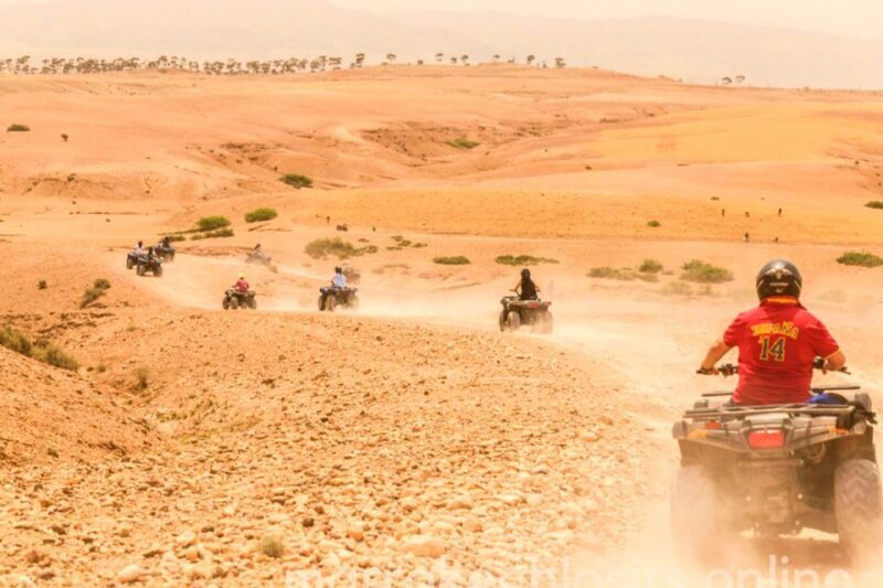 Private Agafay Desert Quad Biking Adventure from Marrakech - What to Expect from the Agafay Quad Biking Tour