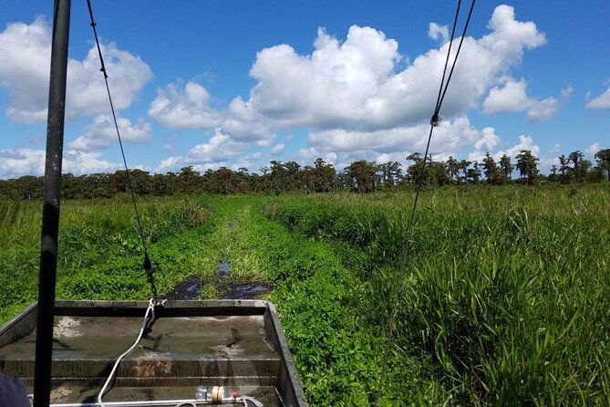 private-airboat-swamp-tour