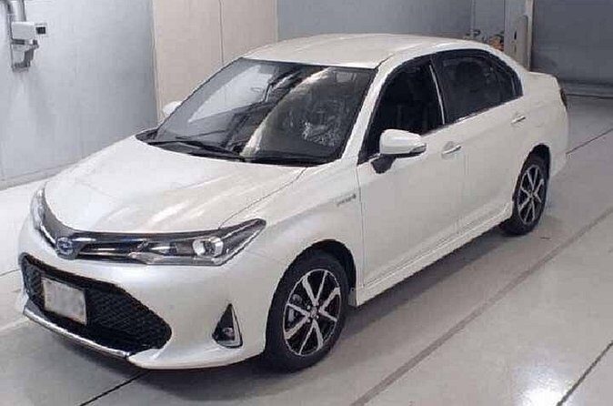 Private Airport Pick up and Drop off Service in Chittagong City - Practical Considerations