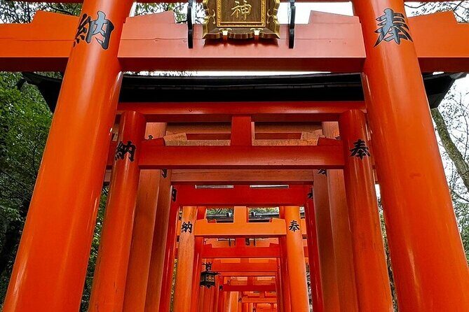 Private Airport Transfer & Adventure within Kyoto Nara Osaka Kobe - Key Points