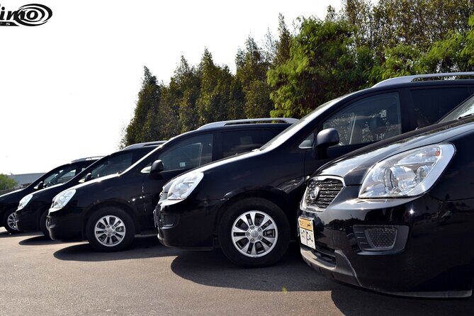 Private Airport Transfer: Cairo Airport Transfer to anywhere in Cairo - Detailed Breakdown of the Transfer Experience  
