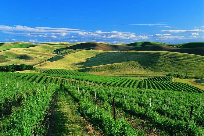 private-airport-transfer-from-sfo-to-sonoma-valley