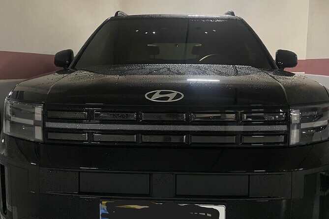 Private Airport Transfer from/to Incheon Airport to/from Seoul - Introduction