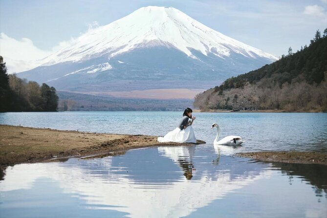 private-airport-transfer-tokyo-city-to-haneda-airport-hnd