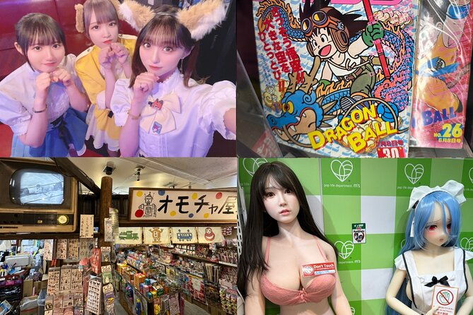 private-akihabara-retro-tokyo-anime-game-maid-cafe-tour-w-pickup