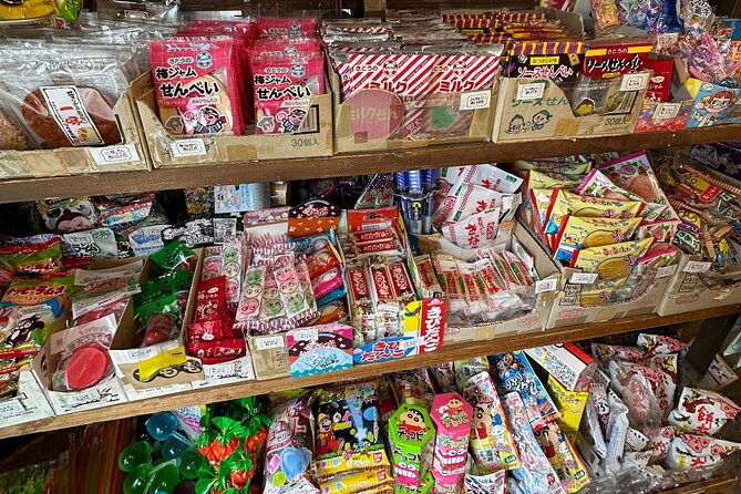 private-akihabara-retro-tokyo-anime-game-maid-cafe-tour-w-pickup