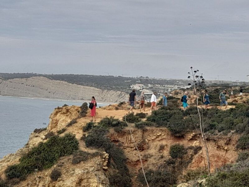 private-algarve-coast-tour-from-lagos-by-van